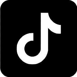 TikTok icoon